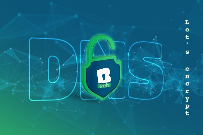 Arquivo:Le dns article1.jpg