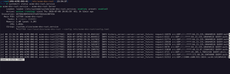 Arquivo:Acme-dns-02.png.png