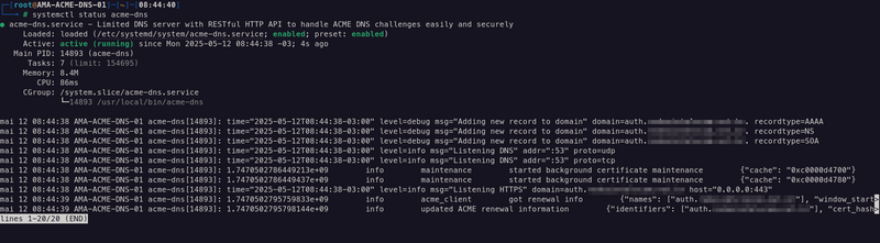 Arquivo:Acme-dns1.png